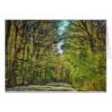 Trees cards