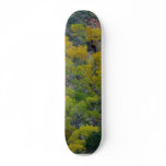 Trees Fall Autumn Skateboard Deck
