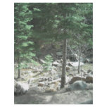 Trees flyers