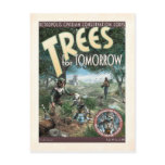 Trees for Tomorrow Postcard
