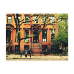 Trees Grow in Brooklyn Postcards