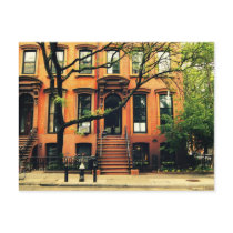 Trees Grow in Brooklyn Postcards