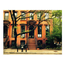 Trees Grow in Brooklyn Postcards