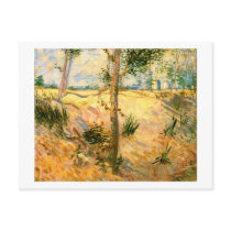 Trees in a Field on a Sunny Day, Vincent van Gogh Post Card