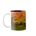 Trees in Flames Coffee Mugs