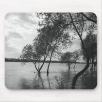 Trees in lake mousepads