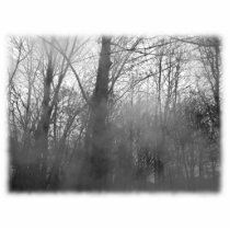 Trees in Mist. Black and White. Photo Cutouts