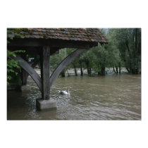 Trees in the water, River Rhine, Rheinfelden Photo Print