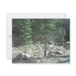 Trees invitations