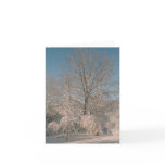 Trees laden with Snow Notecards