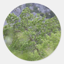 Trees Leaves Cliffs Stickers