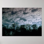 Trees Meet Sky Posters