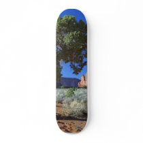 Trees Monument Valley Mesas Buttes Skateboards