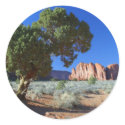Trees Monument Valley Mesas Buttes stickers
