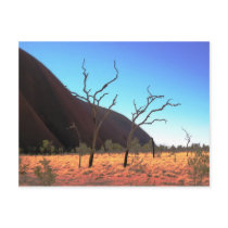Trees of Ayers Rock Post Cards