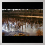 Trees of Reflection posters