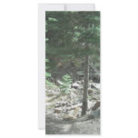 Trees rack cards