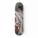 Trees Roots skateboards
