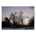 Trees with a sunset greeting card
