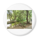 TREESCAPES AT MONTEZUMA'S CASTLE FRIDGE MAGNET