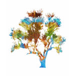 TreeShirts - Exotic Colourful Tree-Shirts