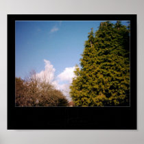 TreeSky Print