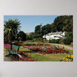 Trenance Gardens, Newquay, Cornwall, U.K.  flowers Print