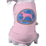 Trendy Brittany Spaniel pet clothing