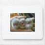 tres amigos  - Baby Hedgehogs Mouse Pad