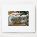 tres amigos  - Baby Hedgehogs mousepads