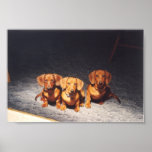 Tres Hombres posters