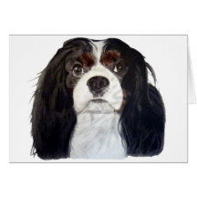 Tri Colour Cavalier King Charles Spaniel 2 Greeting Cards