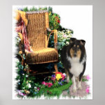 Tri Colour Rough Collie Art Print