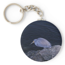 Tri-coloured Heron Key Chain