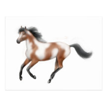 Tri Paint Horse Postcard