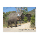 Triangle d'Or, Thailande postcards