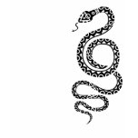 Tribal snake t-shirts