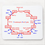 tricarboxylic acid cycle mousepads