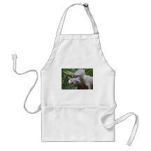Triceratops/Dinosaurs Apron