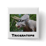 Triceratops/Dinosaurs buttons