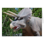 Triceratops/Dinosaurs Greeting Cards