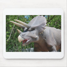 Triceratops/Dinosaurs Mouse Pads