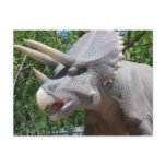 Triceratops/Dinosaurs postcards