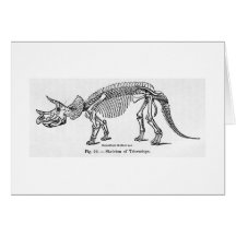 Triceratops skeleton art card