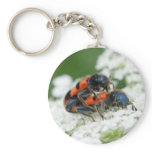Trichodes apiarius keychains