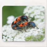 Trichodes apiarius mousepads