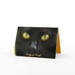 Trick or Treat cards