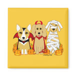 Trick or Treaters!
