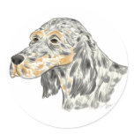 Tricolor English Setter stickers