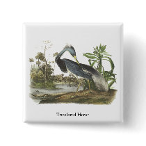 Tricolored Heron, John Audubon Button